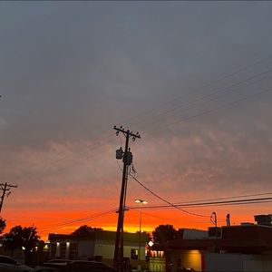 Meet your Posher, Marcellina